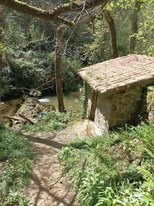 فيلا Casa Fidel Fontanina المظهر الخارجي الصورة